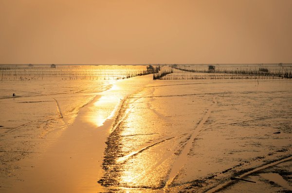 Quels sont les meilleurs sentiers pour une randonnée dans le parc national de Jasper au Canada?